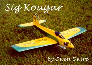 Owen's Kougar finished with Poxy Paint - Dwire photo
